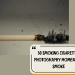 50 Smoking Cigarettes Photography Moments In Smoke