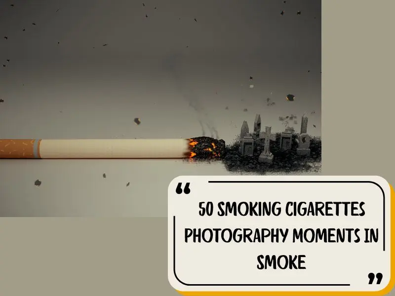 50 Smoking Cigarettes Photography Moments In Smoke