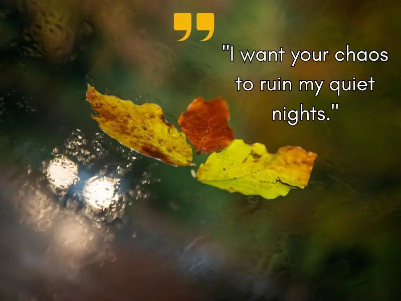 I Want Your Chaos To Ruin My Quiet Nights.