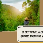 50 Best Travel Alone Quotes To Inspire You