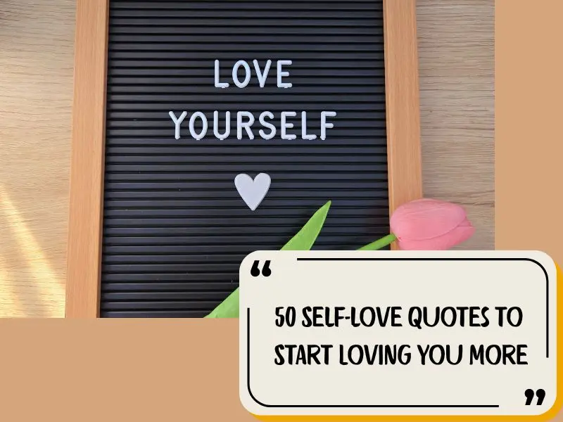 50 Self Love Quotes To Start Loving You More
