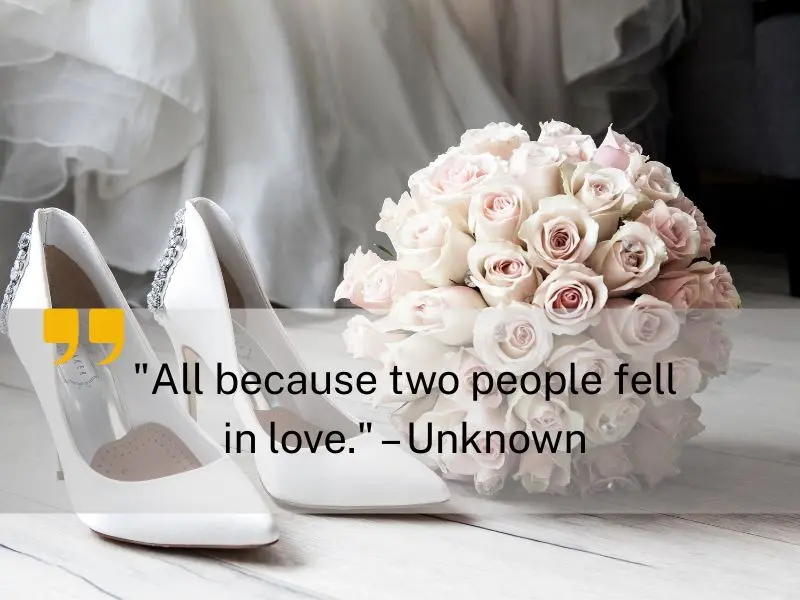 All Because Two People Fell In Love. – Unknown