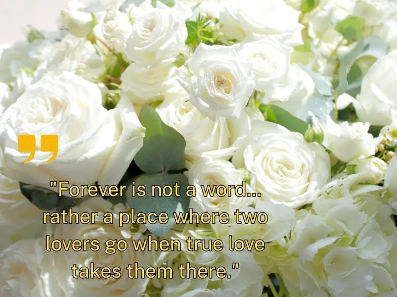 Forever Is Not A Word… Rather A Place Where Two Lovers Go When True Love Takes Them There.