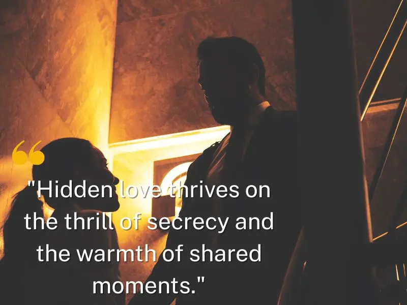 Hidden Love Thrives On The Thrill Of Secrecy And The Warmth Of Shared Moments.