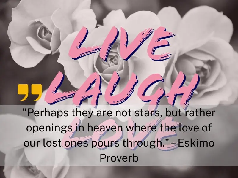Perhaps They Are Not Stars, But Rather Openings In Heaven Where The Love Of Our Lost Ones Pours Through. – Eskimo Proverb