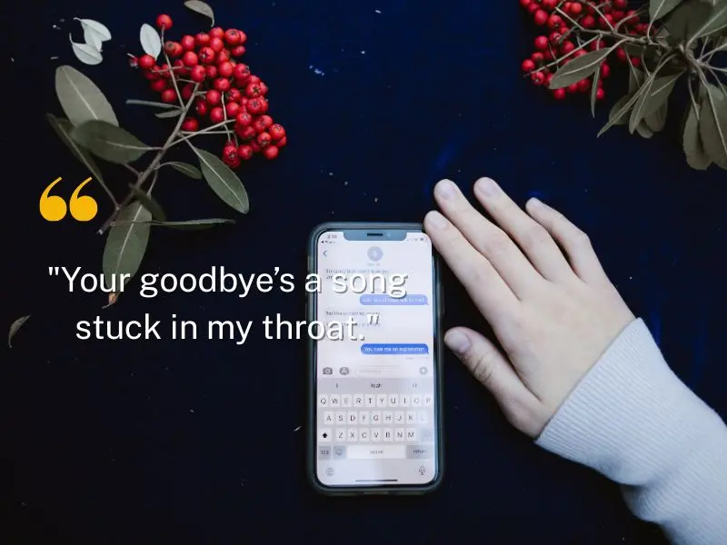 Your Goodbye’s A Song Stuck In My Throat.