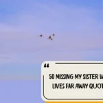 50 Missing My Sister Who Lives Far Away Quotes