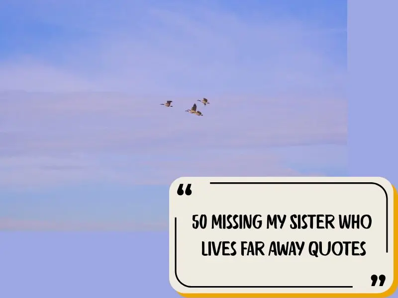 50 Missing My Sister Who Lives Far Away Quotes