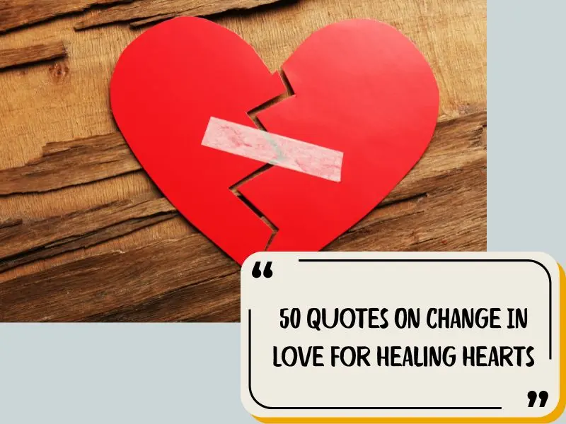 50 Quotes On Change In Love For Healing Hearts