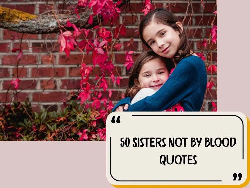 50 Sisters Not By Blood Quotes