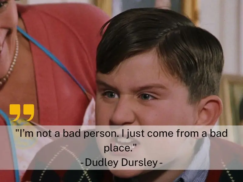 I’m Not A Bad Person. I Just Come From A Bad Place. Dudley Dursley