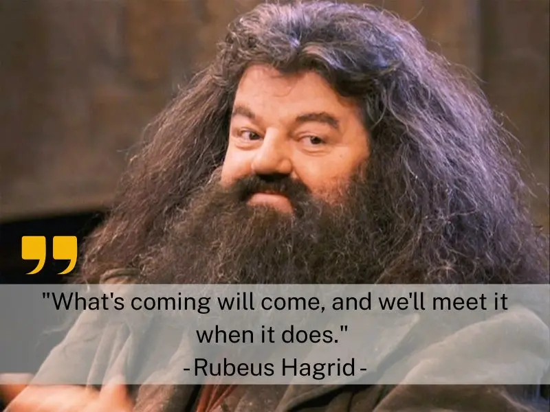 What's Coming Will Come, And We'll Meet It When It Does. Rubeus Hagrid